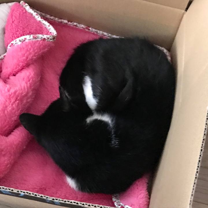 19caf044 a3cd 4180 8021 1d2b7aafc059 1573526954862