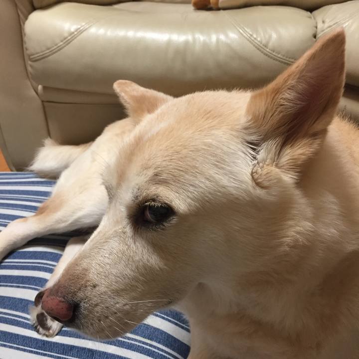 19cb0d0c 859d 4d29 a8f6 fe8916d35938 1536921322298