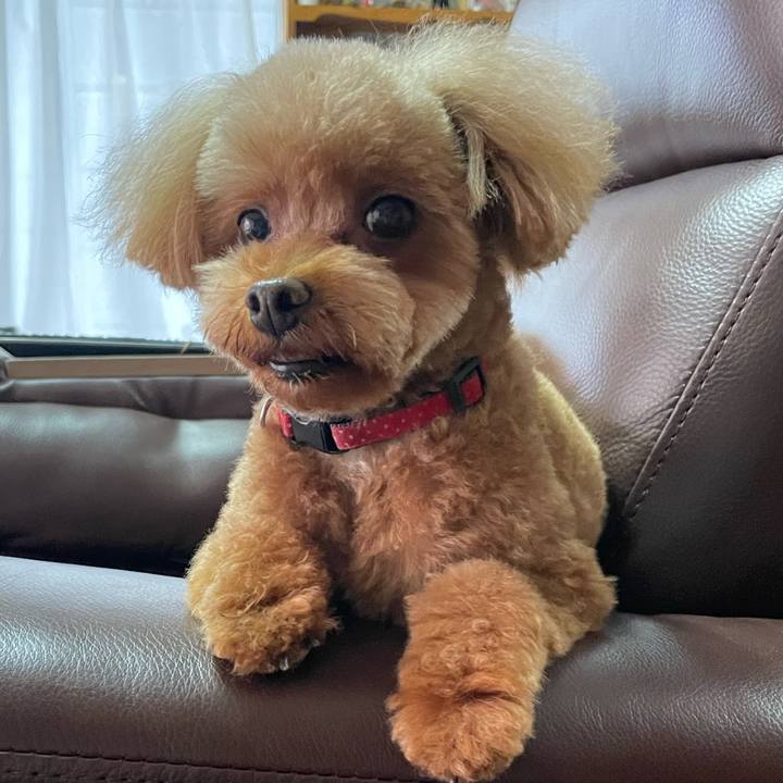 19cb1010 2d2a 4f79 81a8 f97a72fbb31b 1683953137221