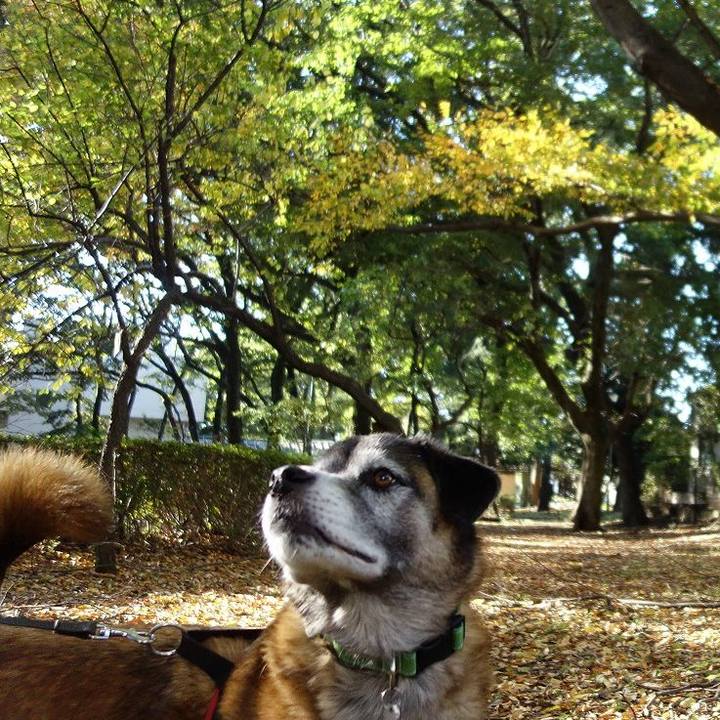 19cb11ff 820a 4f14 8371 336e8481a538 1509927796048