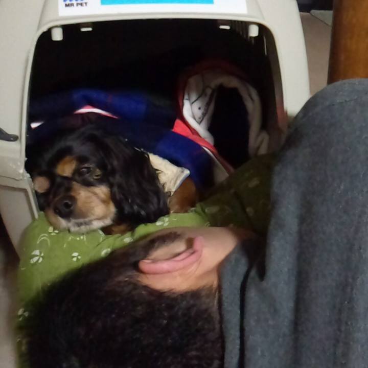 19cb14c3 1c41 4951 92ed cb40498f7571 1516979901978