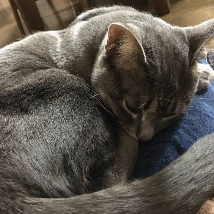 19cb595f 1021 492e ba47 f1208b5b2dcd 1510493943733