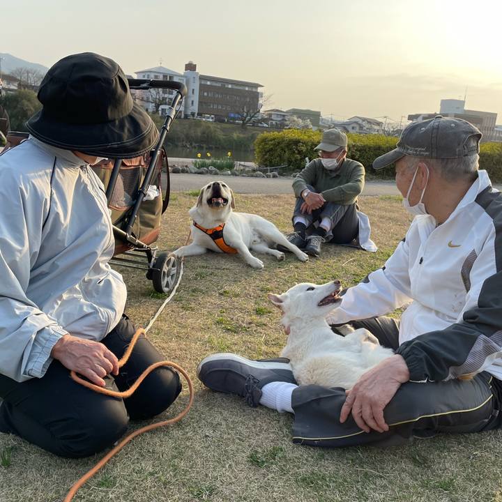 19cb62c5 3eb9 456b aea0 a1d92f425b94 1678713696746