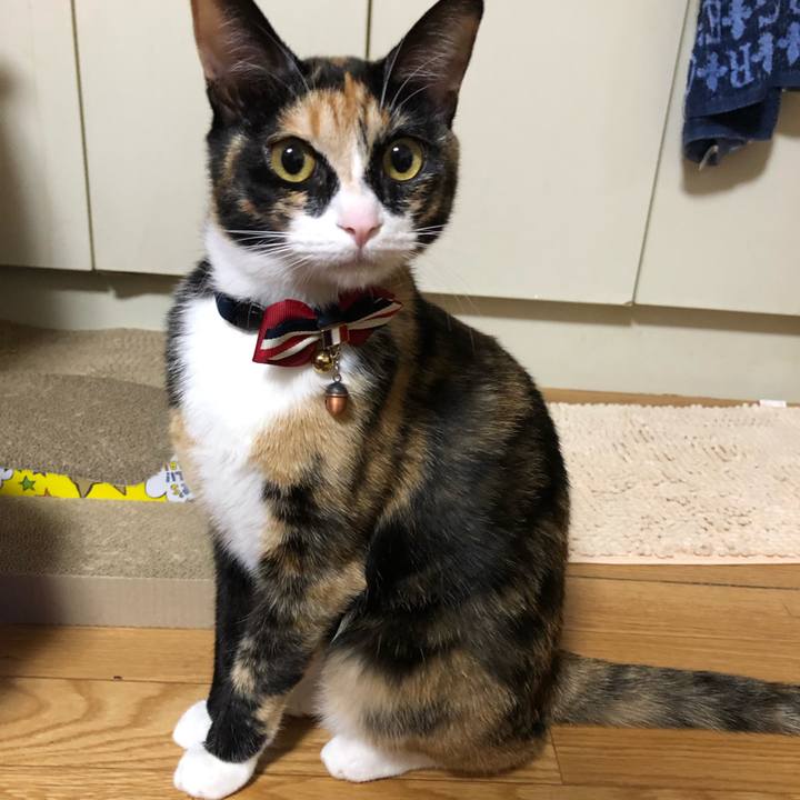 19cb6b6c 8e72 4664 8c8c b51fc88d53f7 1566819077879