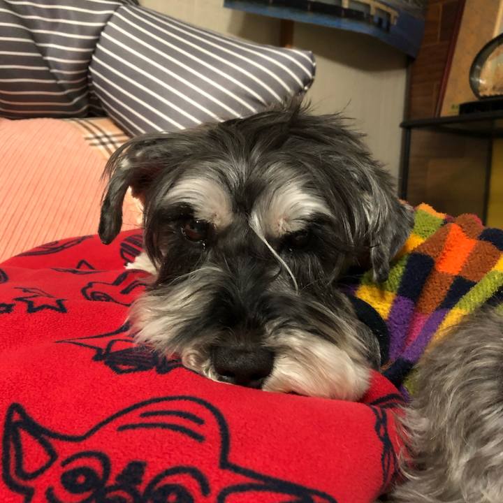 19cb7c79 6200 4e30 a354 af6582c96d59 1677595692527