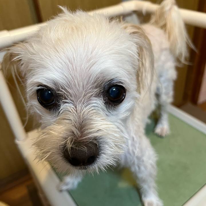 19cb94b7 a0e7 475b ad9a 24f1804d50ed 1695297846614