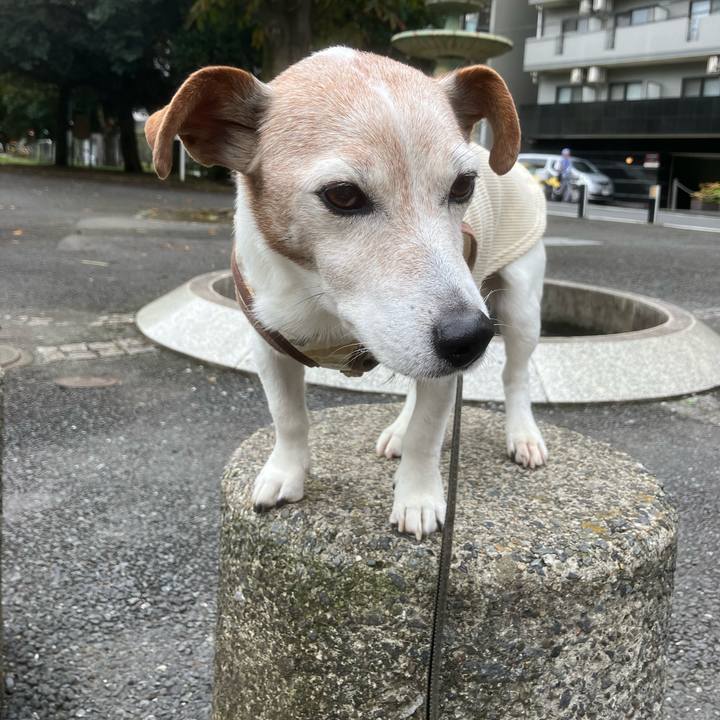 19cbb32b 796f 4b9e 8a74 361f4f00a3f2 1761523033631