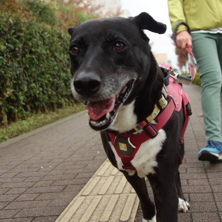 19cbb810 ee96 4d7d 84b3 c81ea5162aa8 1698459511813