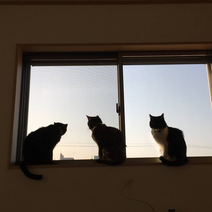 19cbc898 b106 46b4 a51d f123d3f2fd25 1522542800323