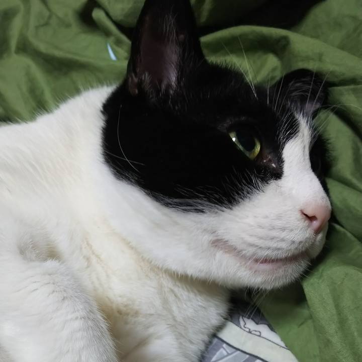 19cbe640 5c78 42fd 9a4c cf7b79332962 1588175733964