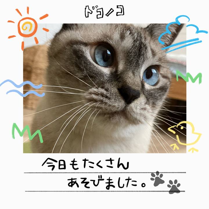 19cbffc5 3cc7 457c bff7 3647c045db23 1755158103526