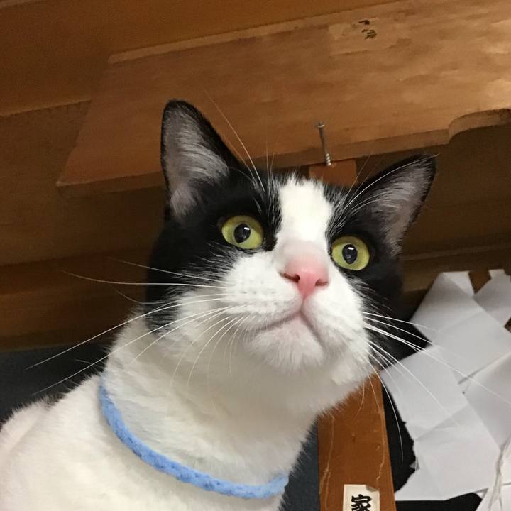 19cc11c3 71c5 4791 b751 beb56ed4e49b 1698574474425