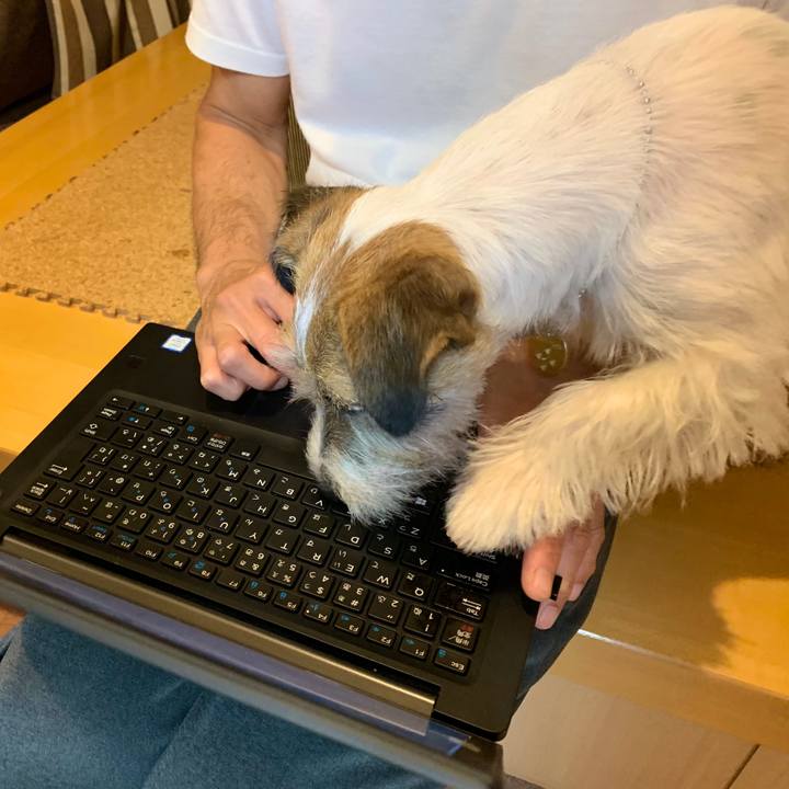 19cc2f0c 73aa 4270 889c 01c9026bbae4 1592996411074