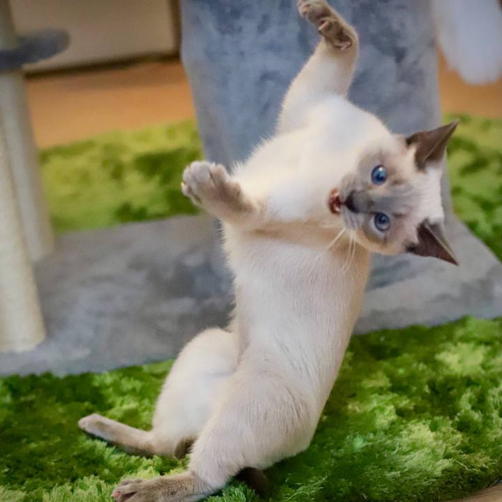 19cc91e0 4c28 4d5b 8930 e1a06cfad6ad 1580539955515