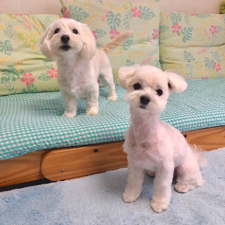 19cca7e3 5edd 447a bbc8 73d0a5826c41 1525415353192