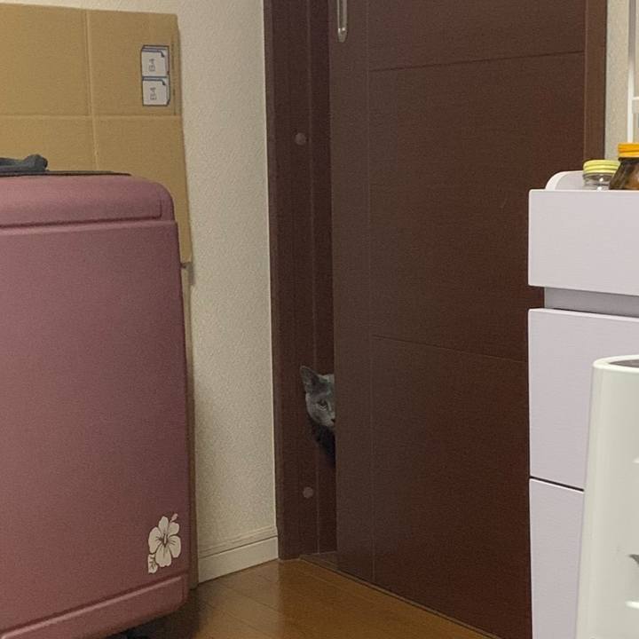 19ccb088 ebf9 4ca6 93bc 092e44154600 1642287477170