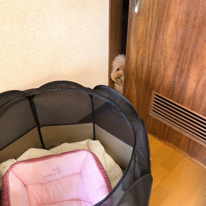 19ccfa89 296b 42f8 9f65 9b14a14b1394 1546517268545