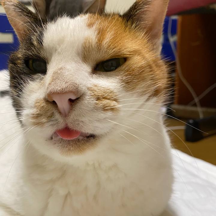 19ccfe60 fd24 4754 a8fb d8b8cba5c4da 1596196742108