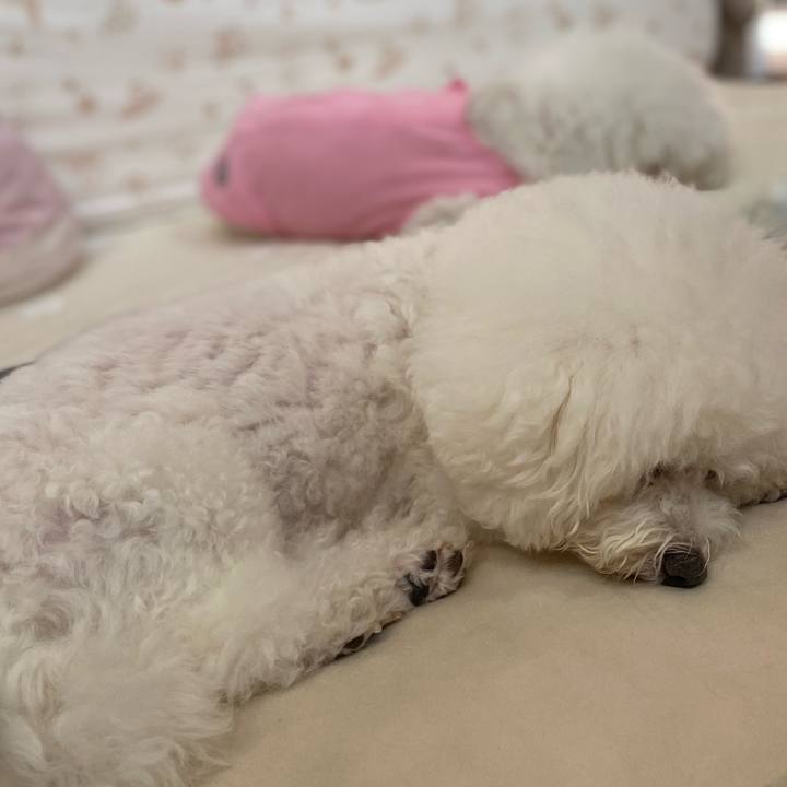 19cd02ef a6f4 4a95 9177 2aa1e6e517cf 1727745612888