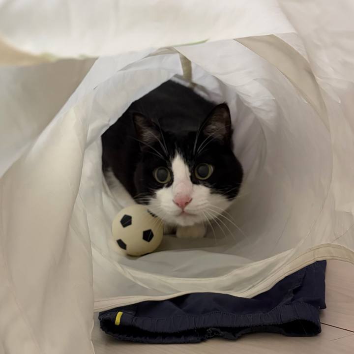 19cd4045 5a42 4c93 a04e 760e3682726a 1769769180282