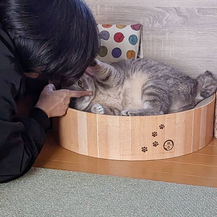 19cd487c bc58 426b 9e25 b02b472a01db 1731913078383