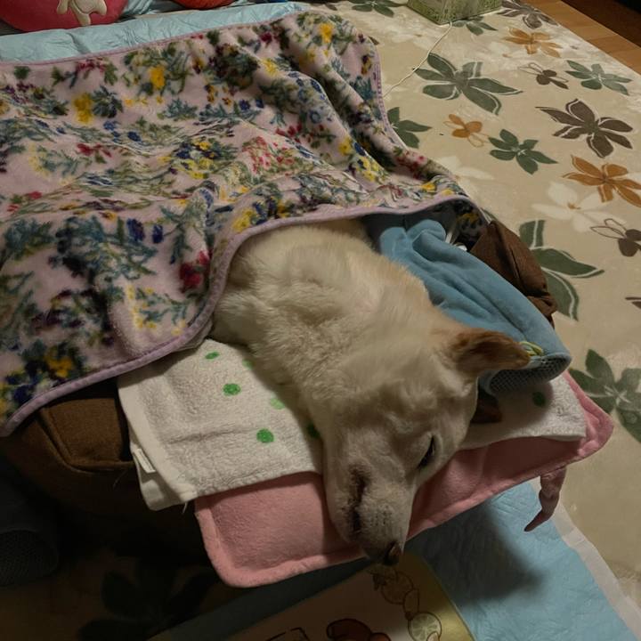 19cd48de c724 48db a866 85489814b083 1670254338924