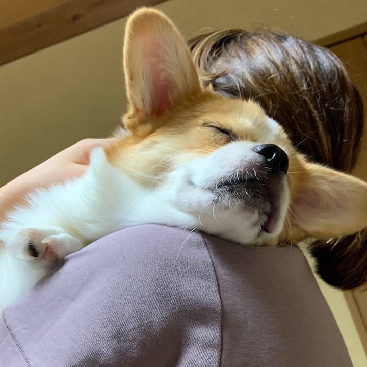 19cd5644 3d20 4a2f 8307 340dcff2ad83 1568562534718