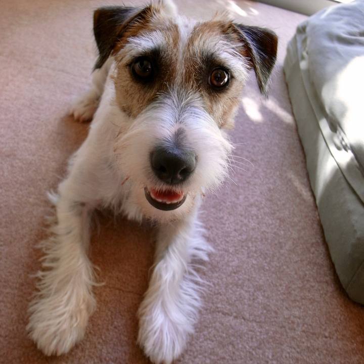 19cd5e77 d8e6 4755 a668 10a009652231 1603598034267