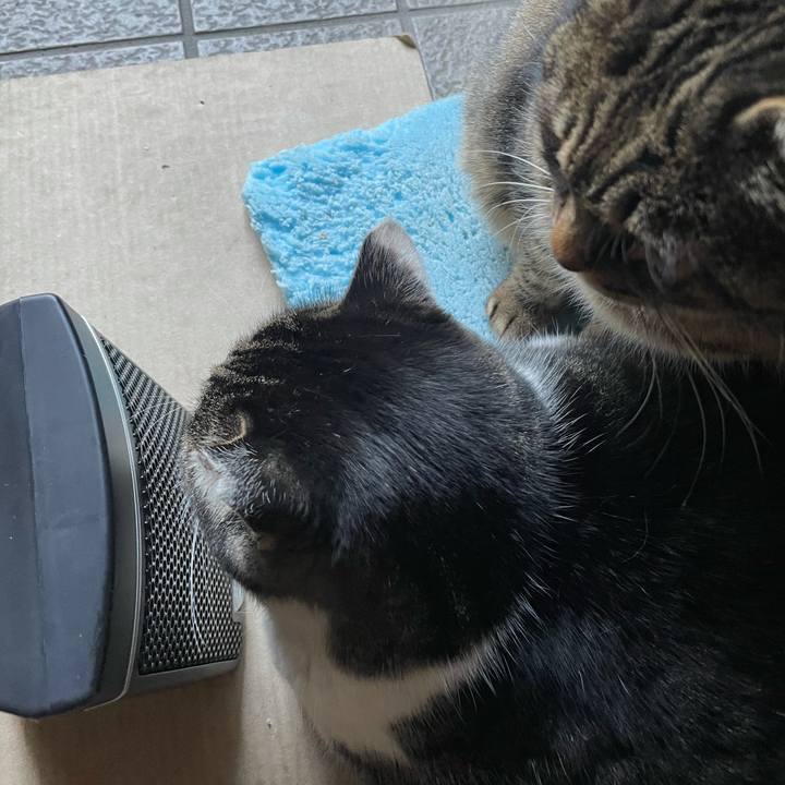 19cd8b13 5262 4398 a3e9 41e680fb71ef 1611214405997