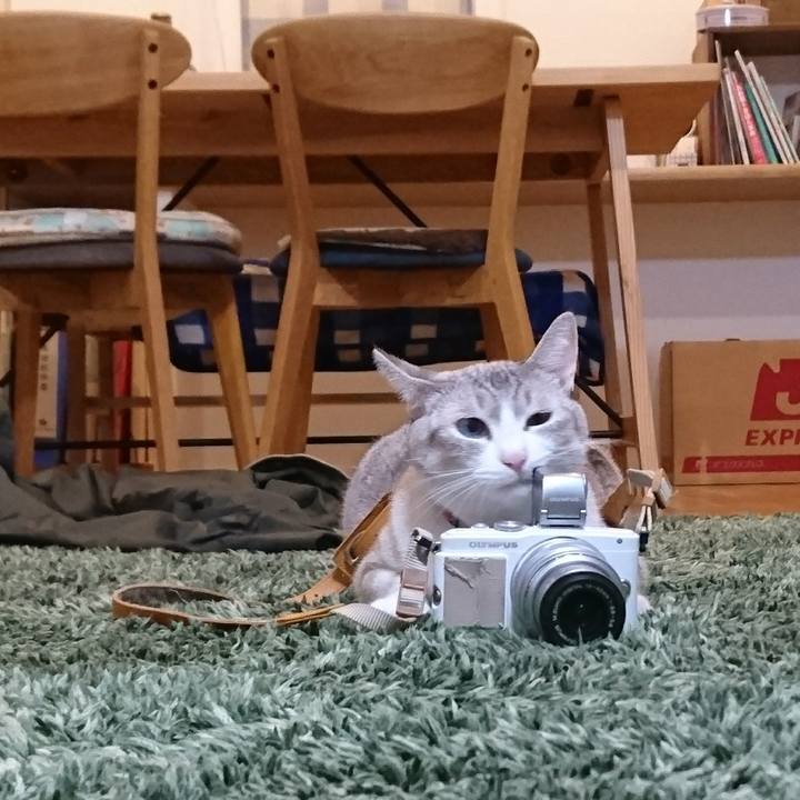 19cd9bba ca78 416a 8b5e 807d7828d2d8 1581338789691