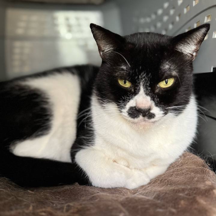 19cd9e6f 44ce 4962 a08b 8c6082e3a5c8 1760227843508