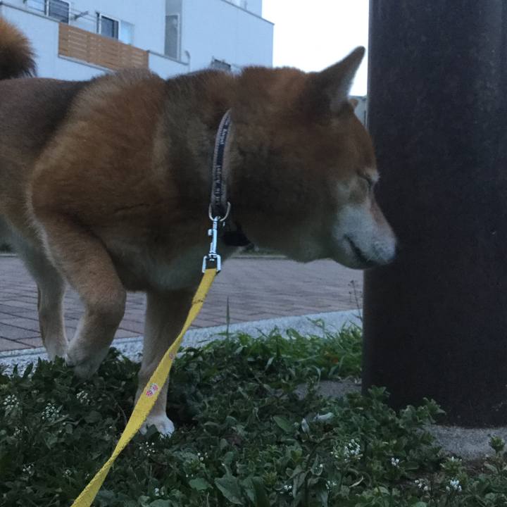 19cda7c8 0c26 4f61 90ce 4455796afa65 1551517158889