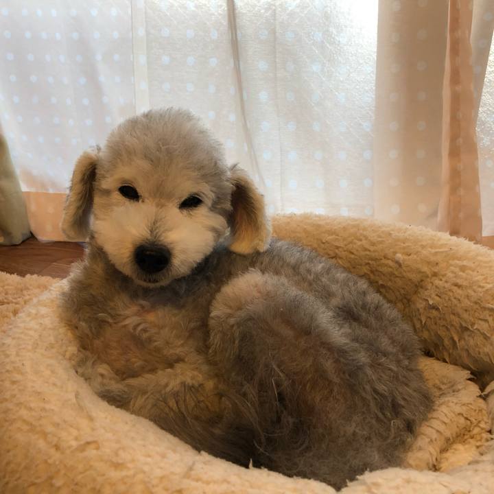 19cdbe2d 2bc8 4abf 951b 30e99a626d5b 1603929642412