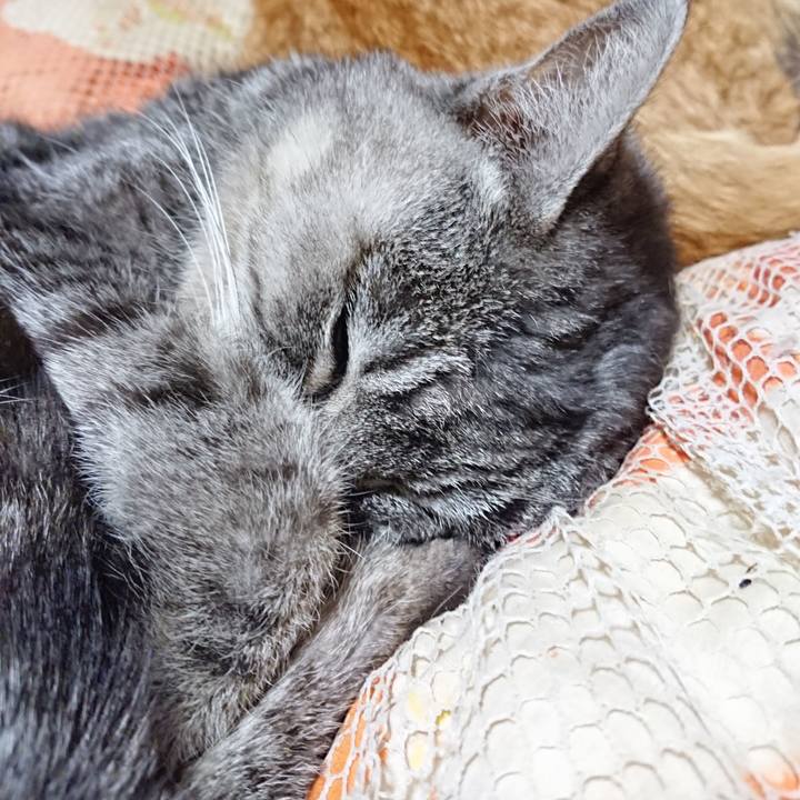 19cdbfcb 4404 45c8 8381 613de9dd253e 1574602634631