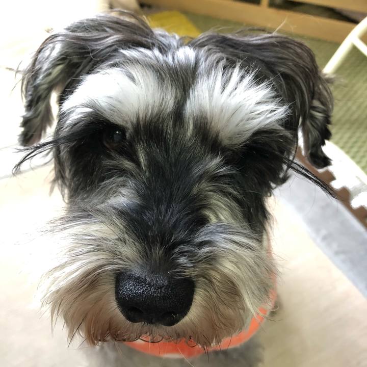 19ce1cca 3cb8 462a b920 5988165ab25c 1644627472863