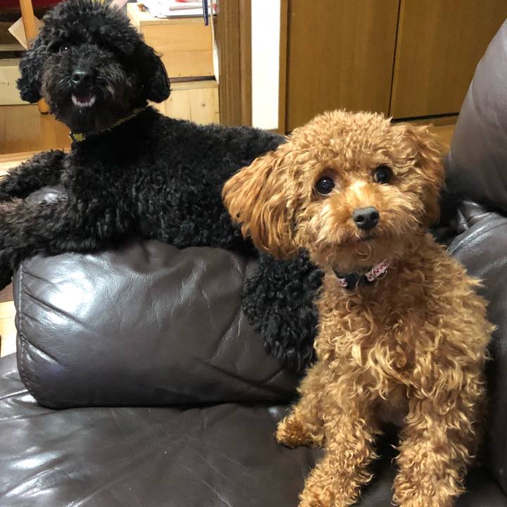 19ce2206 d0c3 4e28 a30e 1593397f8505 1508648923559