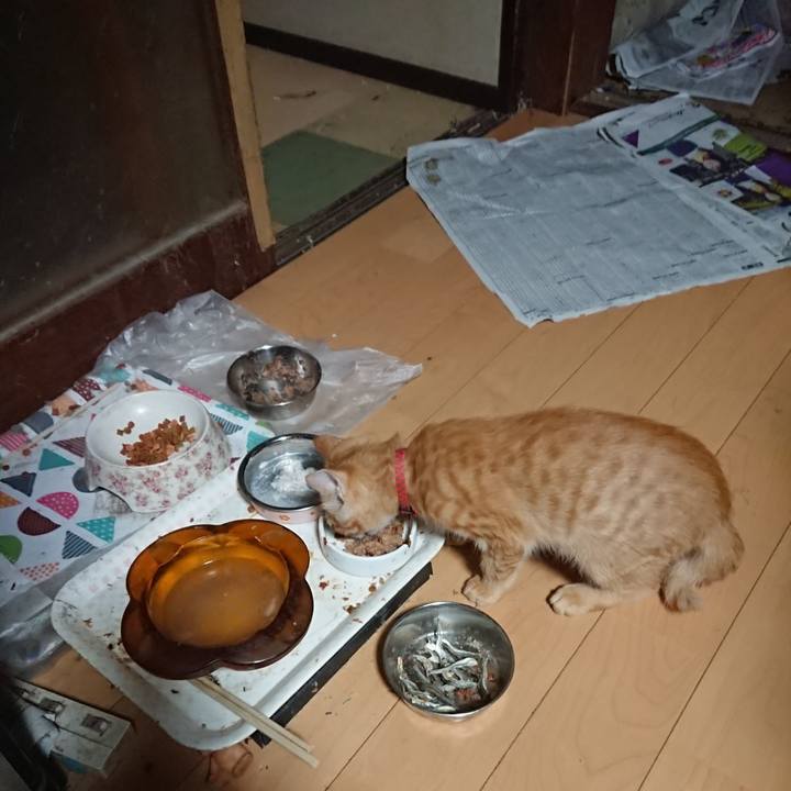 19ce278f 1b6f 49bf a0bd b001ad8e43d2 1633033777129