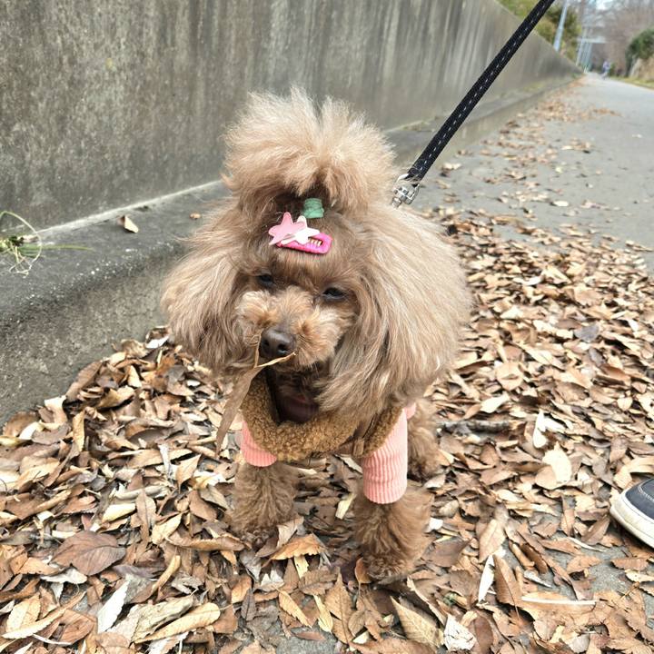 19ce2a53 4b1a 406b a057 1ef7a5828857 1767615730127