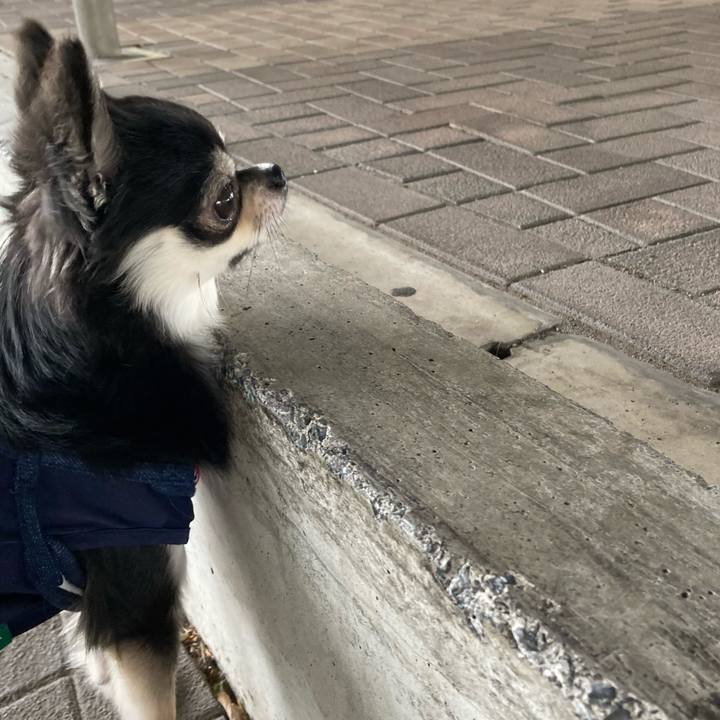 19ce304e 1ee7 4525 98e6 5fea204de25b 1620191525410