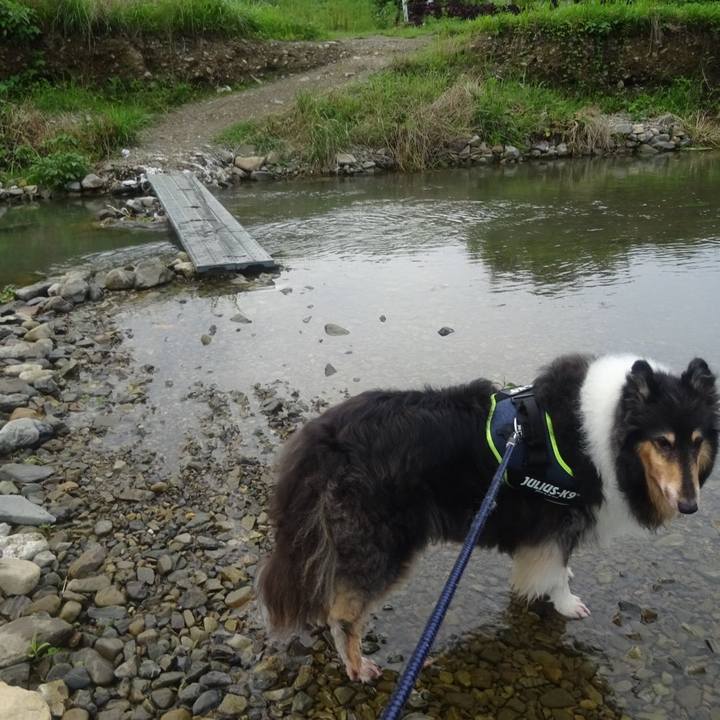 19ce6fa6 c7c8 4b96 80c0 6e65214032a1 1595337404768