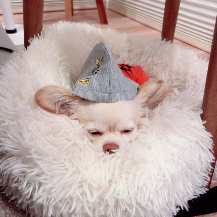 19ce9204 bbb4 4d5c a494 2624f3ee9bf1 1746658176818