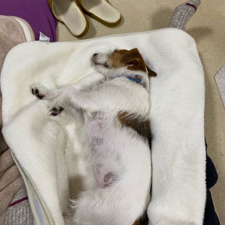 19ceb5a9 da8b 4a30 9004 d41db3859411 1681390601727