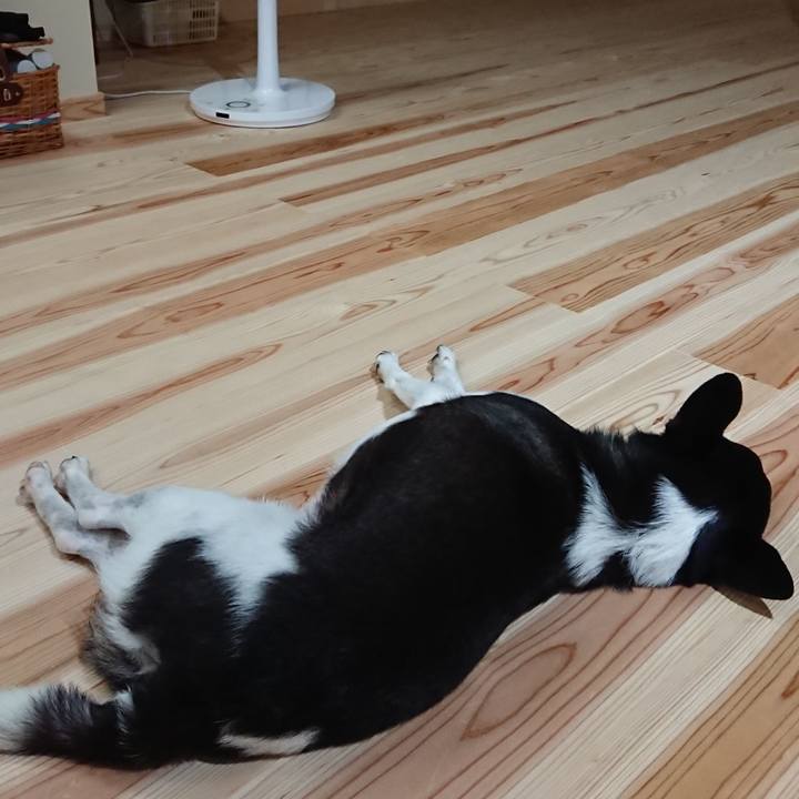 19ceca1d f132 4c83 8b4e 81e43e6fbc66 1563719926107