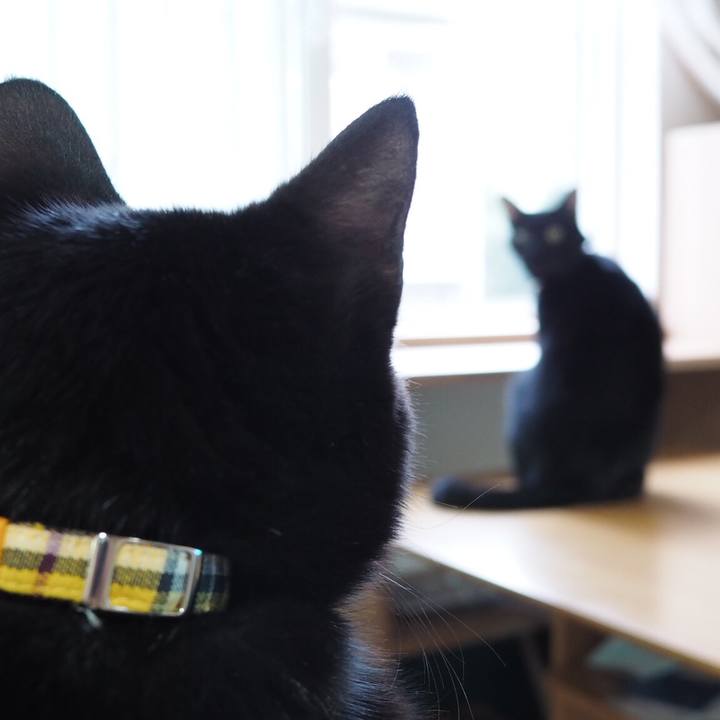 19cf1a2b 1b57 4c2f a7c9 ff932a78c927 1542582453750