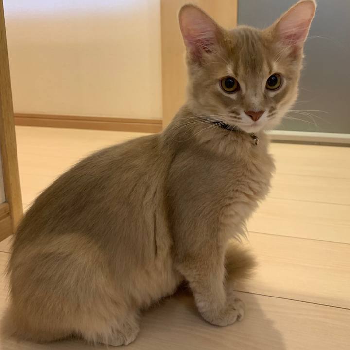 19cf3e37 7979 4846 bbab db7fc614c20b 1546265908555