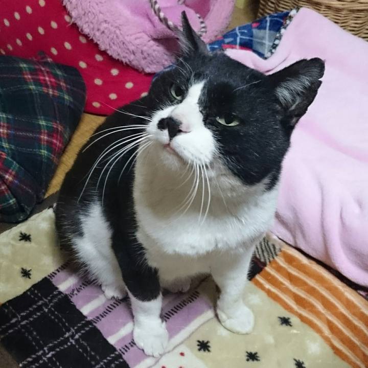 19cf44c0 9223 4abd 93f3 b6bf656d4fbf 1518738585171