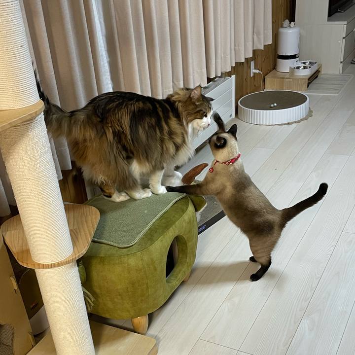 19cf5df8 b29c 4f9a 9f23 240a96d04f0d 1738786846117