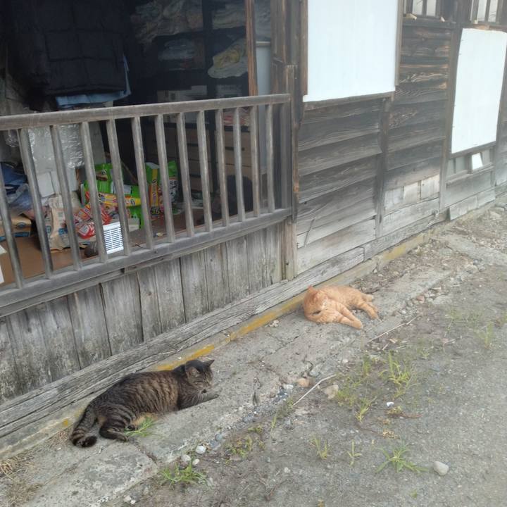 19cf8116 b02f 44c6 bea0 9fa3163688c3 1751449461527