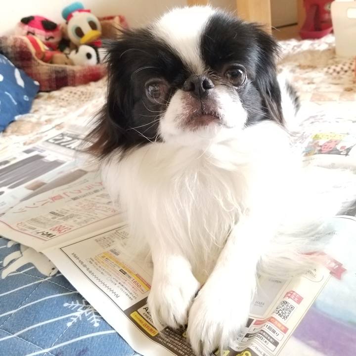 19cf852b d378 4e12 acdd eb8d76e46ea8 1653895587769