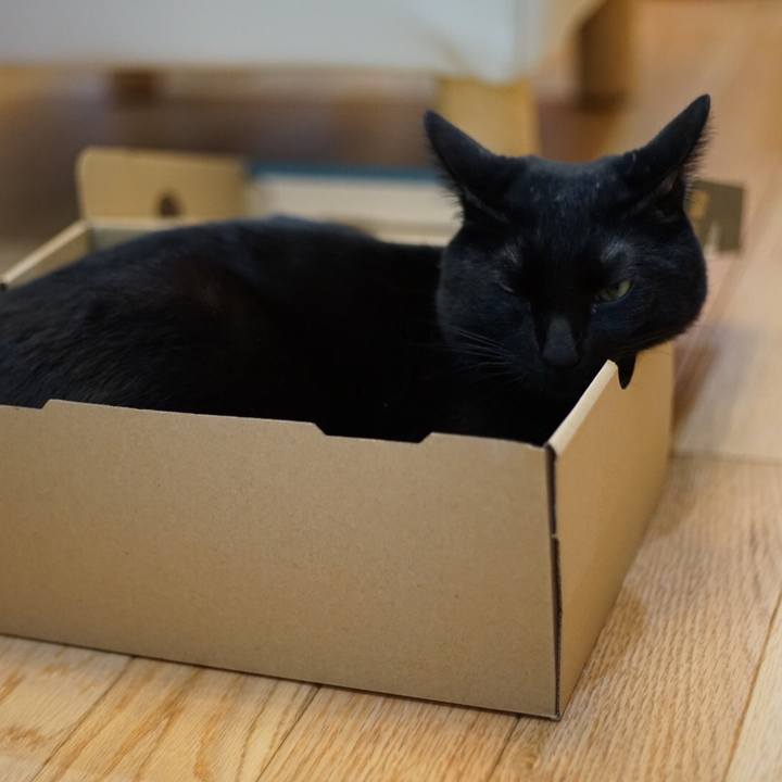 19cf9ab4 2812 45c8 b8ed 6c0191cbdca1 1521071213611